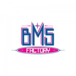 BMS Enterprises